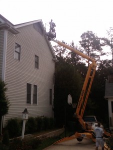 Bats in the Attic Davidson, NC