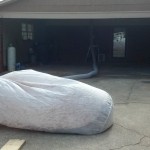 Bat Guano Removal, Attic Clean Out Lincolnton, NC